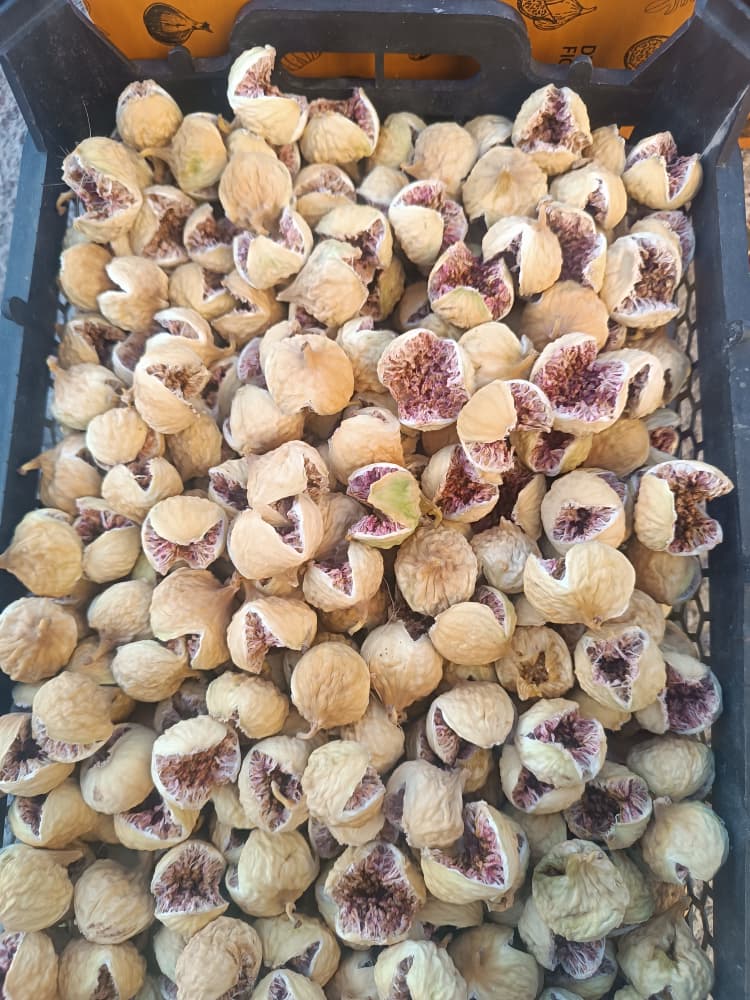 تصویر 1 از مرکز پخش انجیر ممتاز استهبان + فروش ویژه